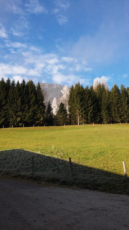 Apartment Knablhof Sankt Martin am Tennengebirge Quarto foto